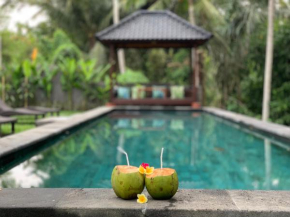 rumanero villa